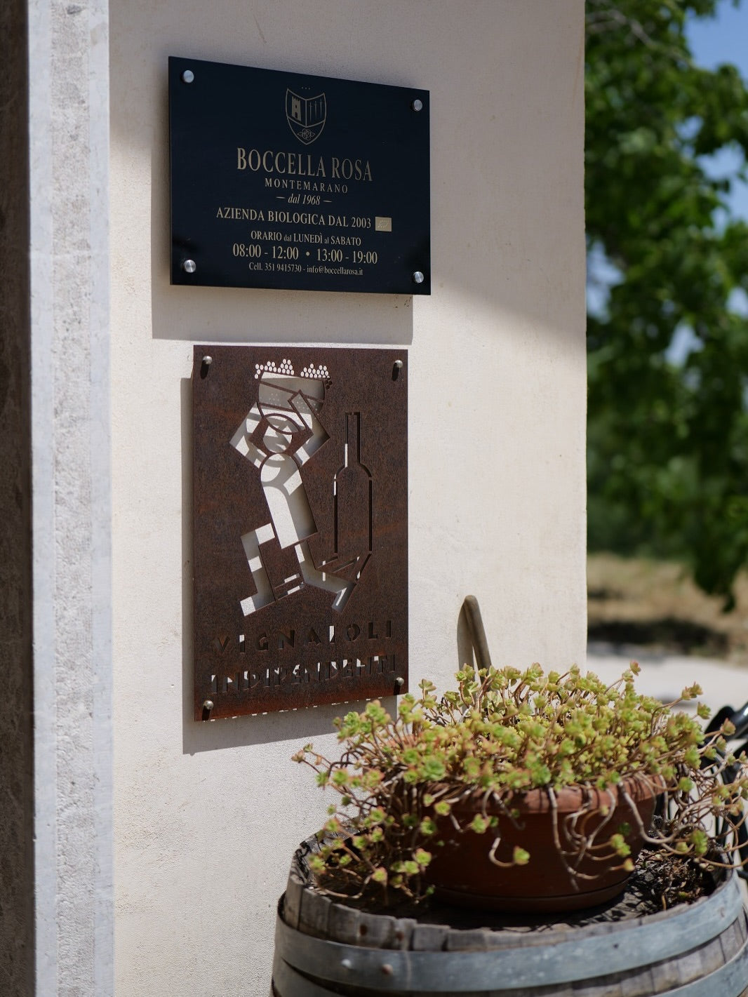 Adopt a Vine - Company: Boccella Rosa