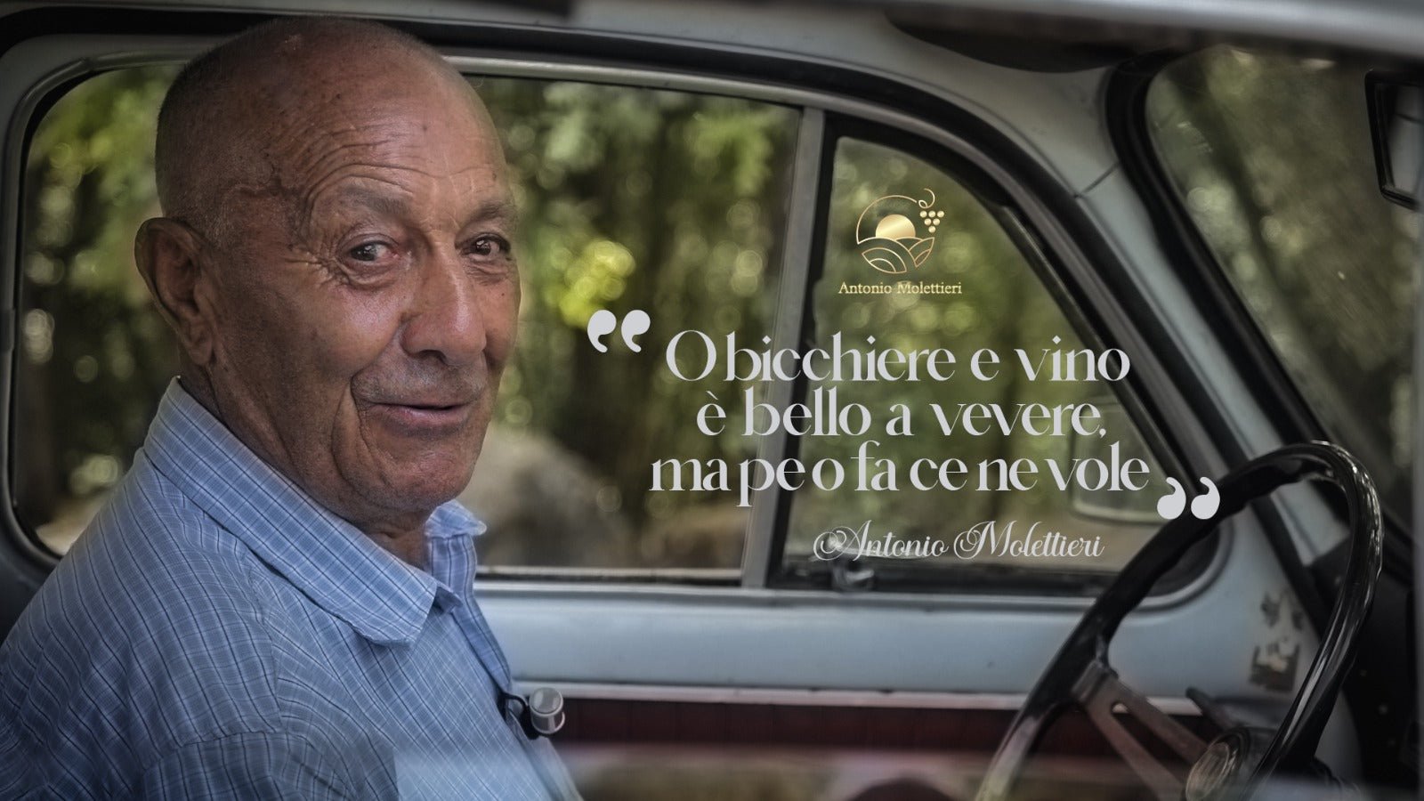 Adotta una Vite - Azienda: Antonio Molettieri - Vitigni Irpini