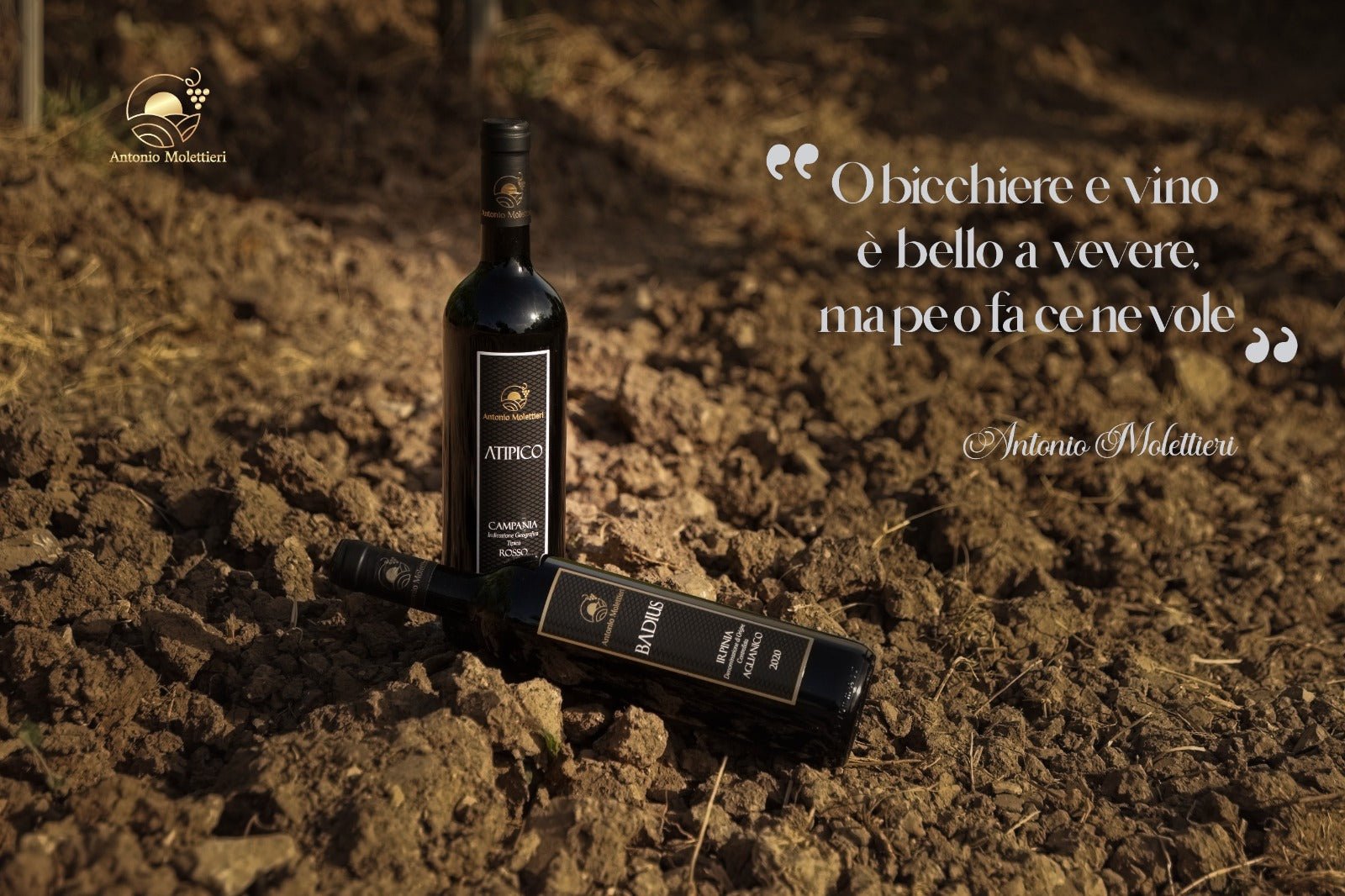 Adotta una Vite - Azienda: Antonio Molettieri - Vitigni Irpini