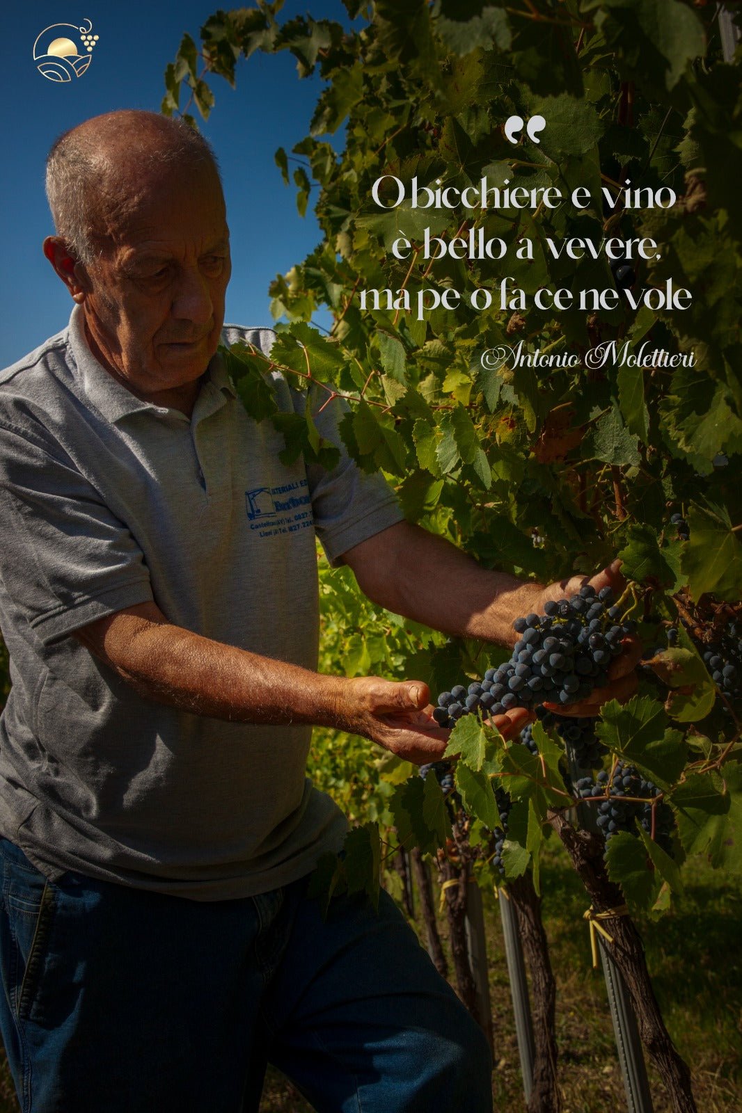 Adotta una Vite - Azienda: Antonio Molettieri - Vitigni Irpini