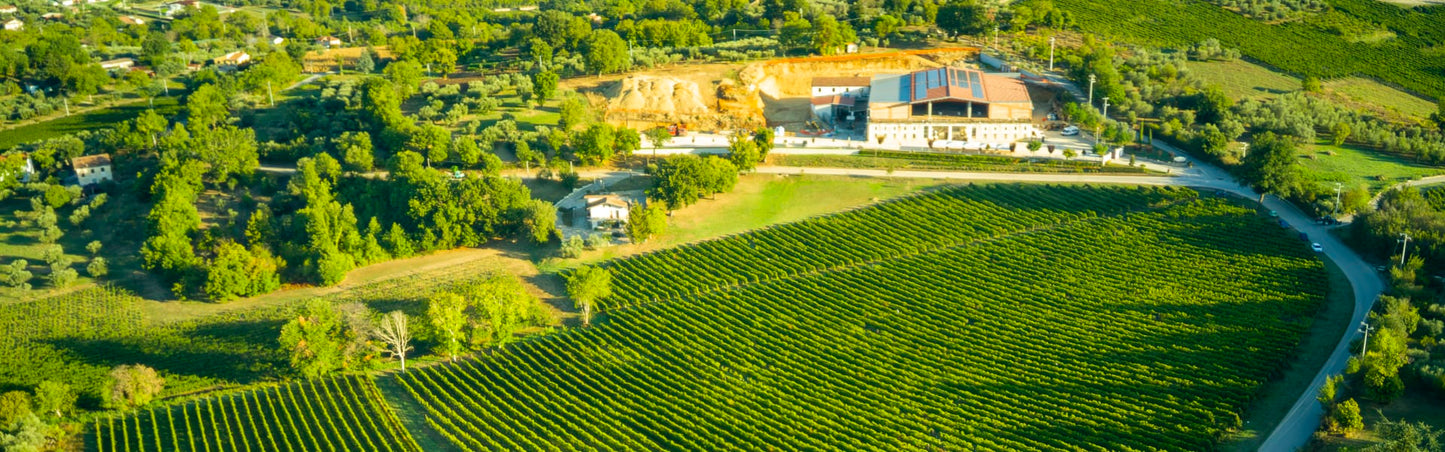 Esperienza Emozionale: Giornata in cantina e degustazione di vini | Per due persone