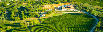 Esperienza Emozionale: Giornata in cantina e degustazione di vini | Per due persone