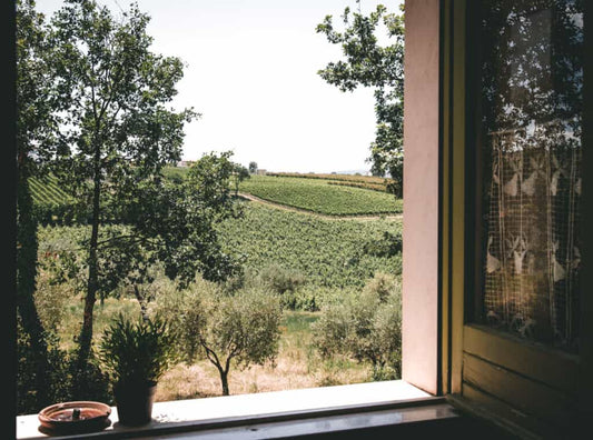 Gift Card Winetour - Esperienza in cantina, degustazione di vini e pranzo in agriturismo selezionato