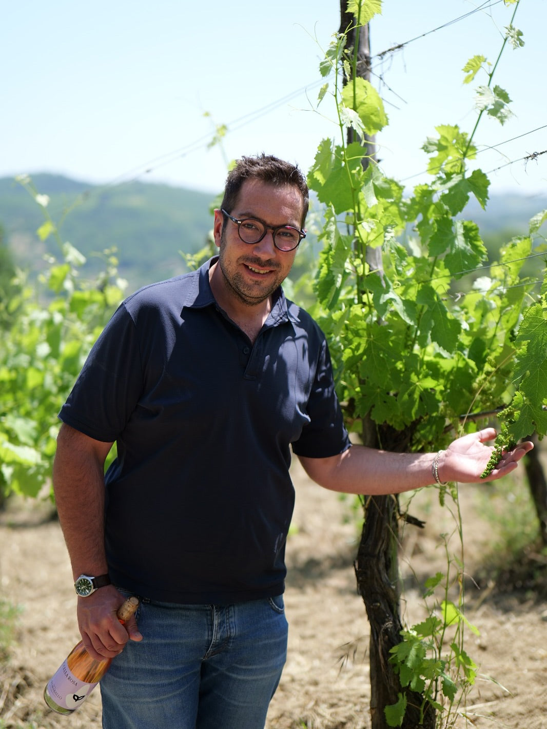Adopt a Vine - Company: Boccella Rosa 
