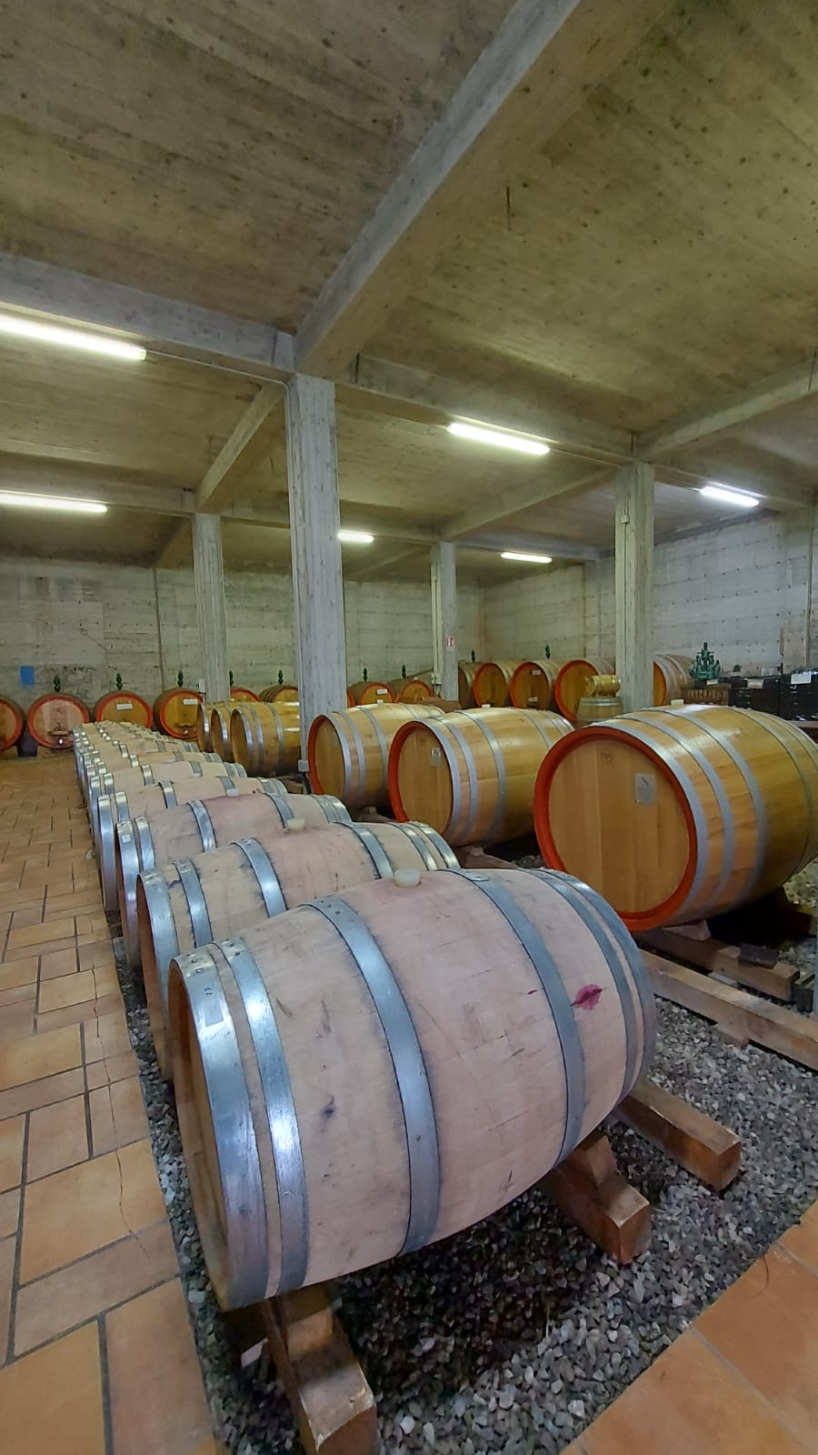 Adotta una Vite - Cantine Russo