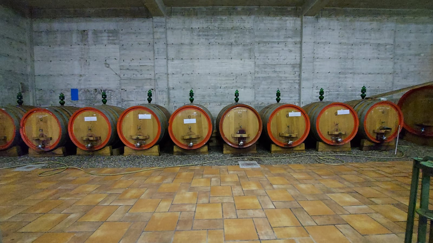 Adotta una Vite - Cantine Russo