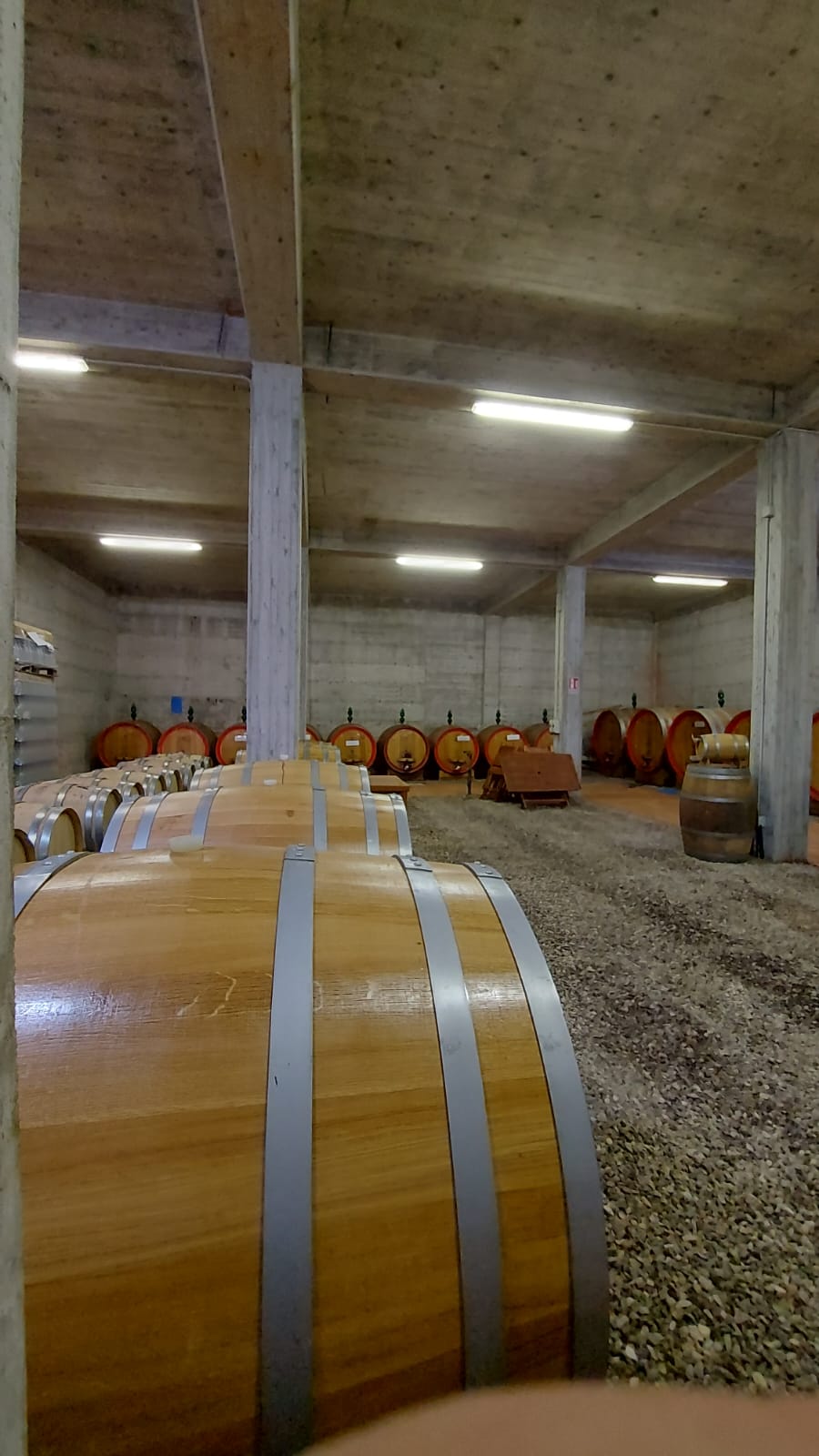 Adotta una Vite - Cantine Russo