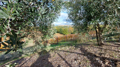 Adotta una Vite - Cantine Russo