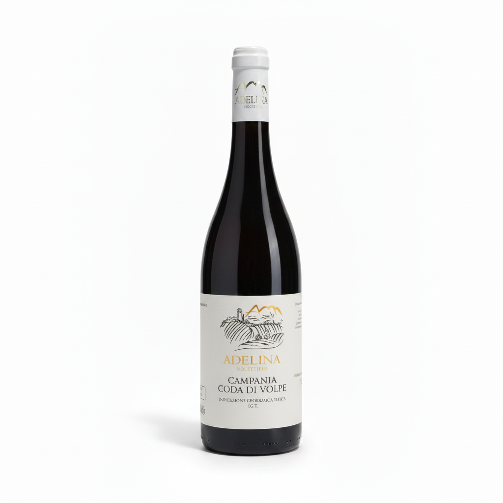 Coda di Volpe - Bottiglia Nera 1:1