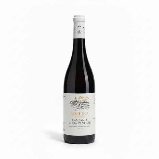 Coda di Volpe - Bottiglia Nera 1:1