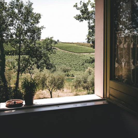 Gift Card Winetour pranzo agriturismo