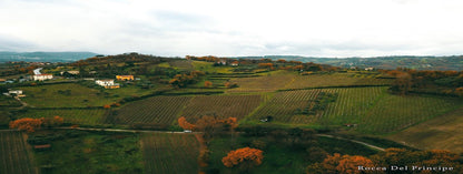 Adoptez une vigne - Entreprise : Rocca del Principe