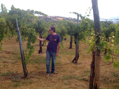 Adoptez une vigne - Entreprise : Cantina Giardino